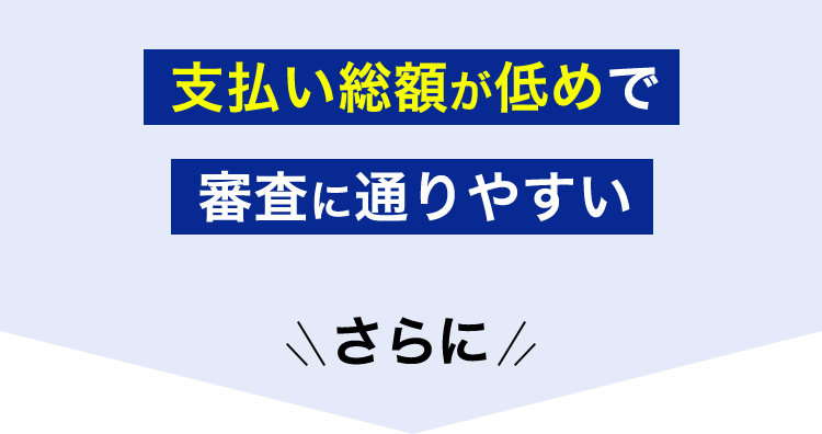 支払い総額が低めで審査に通りやすい さらに